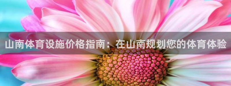 尊龙凯时网