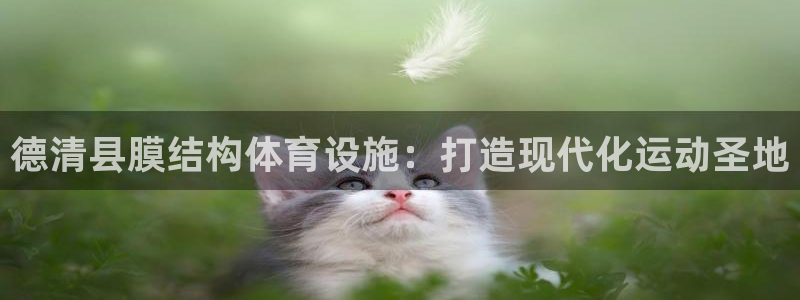 d88尊龙手机登录下载