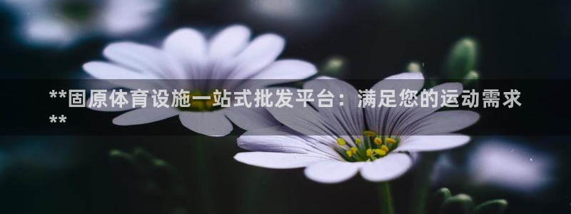 尊龙凯时-人生就是博中国官网最新