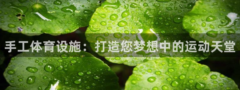 尊龙凯时贴吧