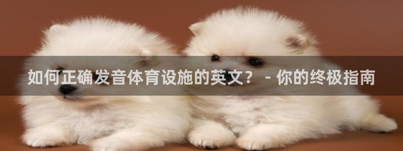 凯时是AG优质运营商