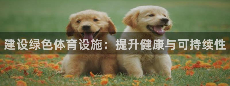 z6com尊龙凯时