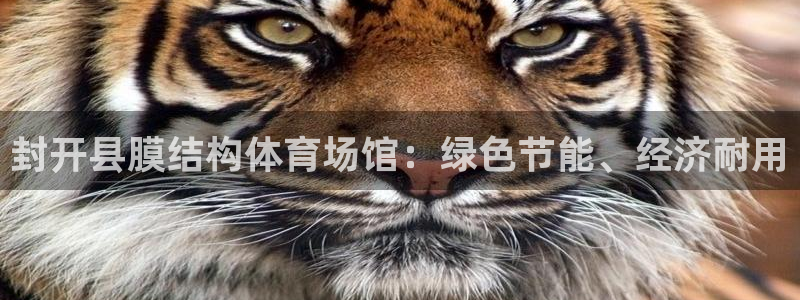 尊龙体育电竞官网
