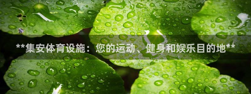 尊龙实业 吴友良