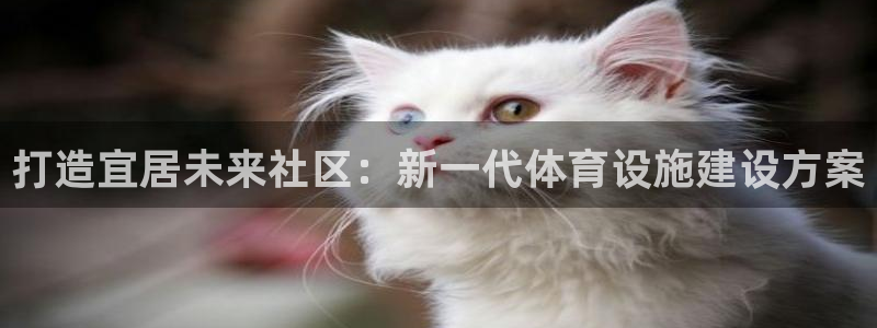 尊龙凯时取款不成功