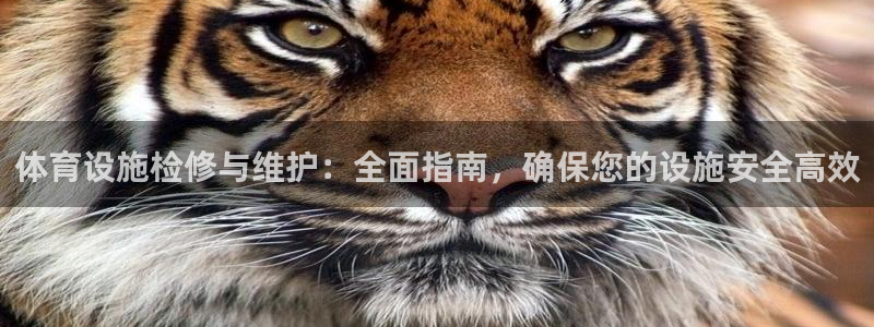 尊龙凯时链接
