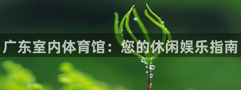 尊龙人生就是博客服