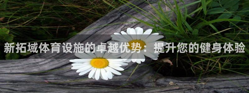 尊龙官网