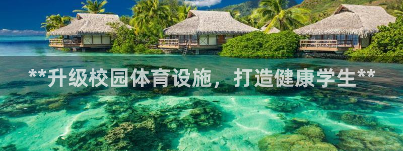 尊龙凯时赞助