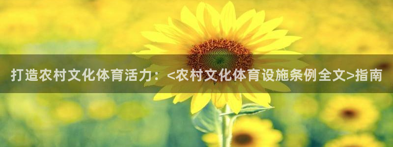 尊龙网页