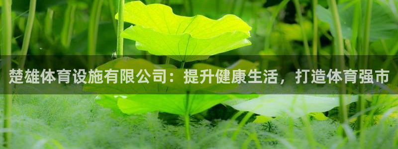 尊龙网站登录