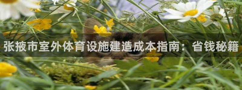 尊龙人生就是博旧版现