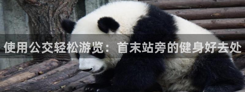 凯时游戏官方网站
