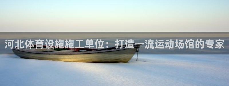 尊龙凯时代理能提出来不