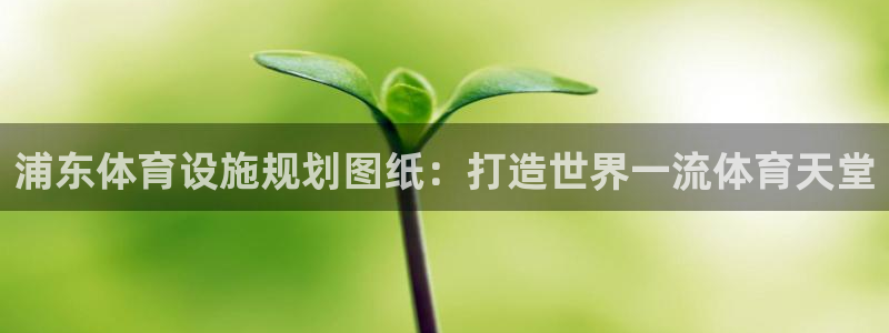 尊龙凯时法充十万返现多少