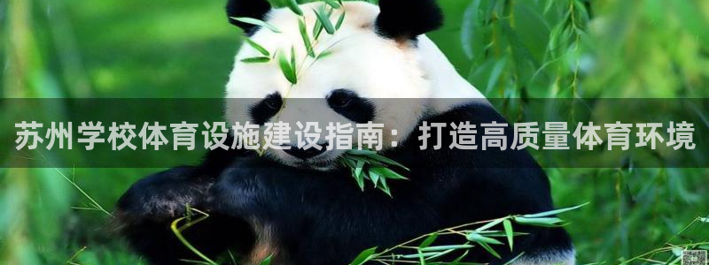 尊龙app认可ag发财网