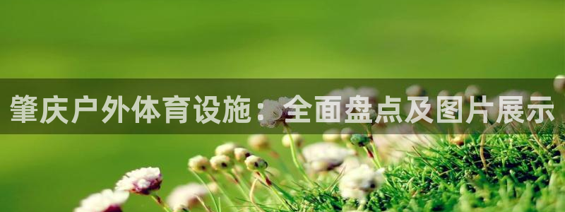 AG尊龙登陆网址