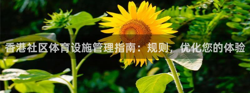 尊龙旗舰厅