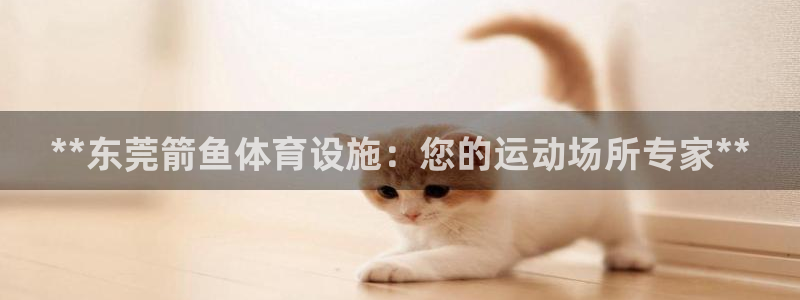 尊龙凯时官方网站下载