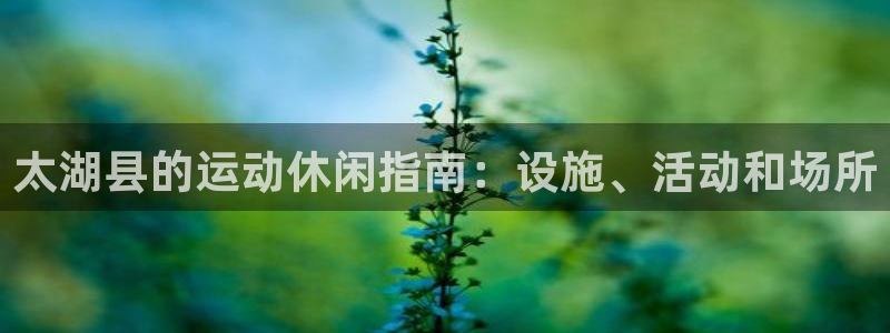 凯时平台怎么样