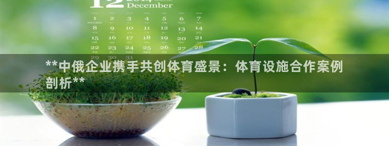 尊龙游戏官网游戏特色