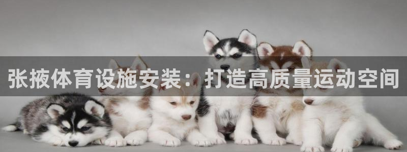 尊龙凯时人生就是博官网登录