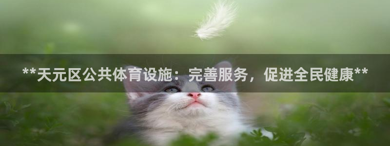 尊龙网址是选访问zd207