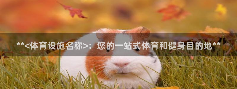 凯时app官网首页