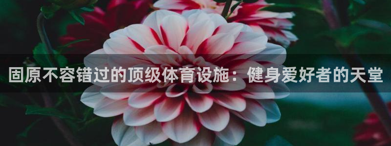 尊龙现金