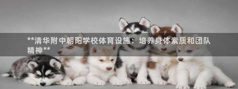尊龙d88ag官方网站