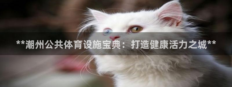 尊龙官网网页版