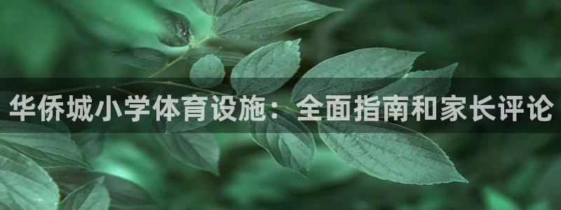 尊龙网站注册站注册