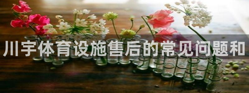 凯时k88最新