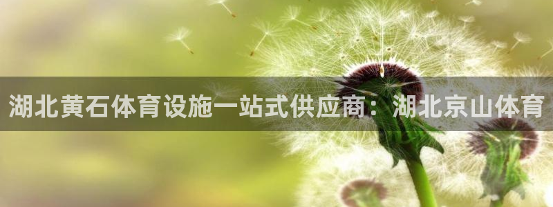 尊龙人生就是博ag