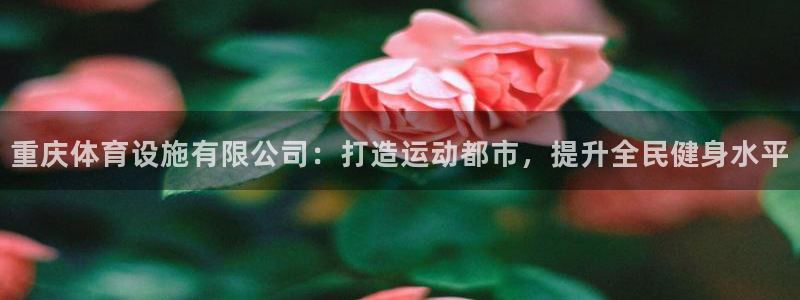 尊龙凯时是正规平台吗