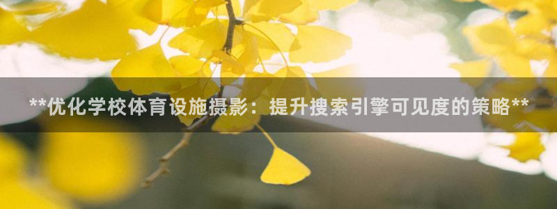 尊龙凯时赞助