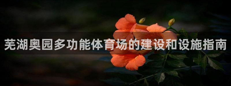 尊龙凯时论坛