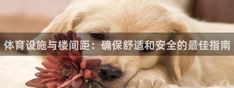 尊龙凯时官方下载