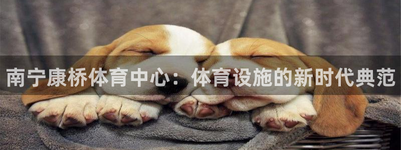 尊龙d88手机app免费下载