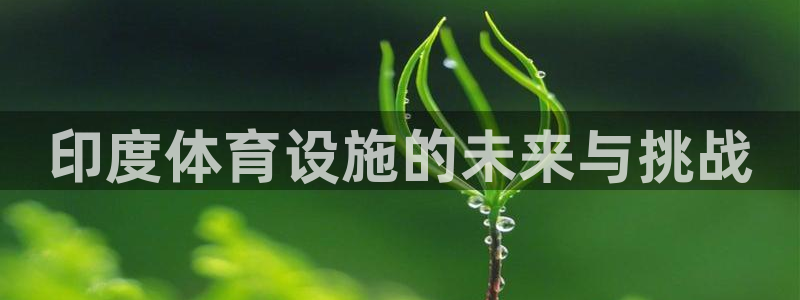尊龙凯时平台还是万博好