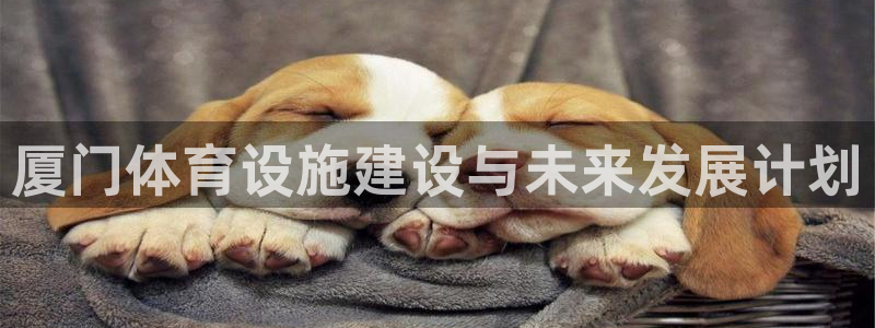 尊龙游戏官网