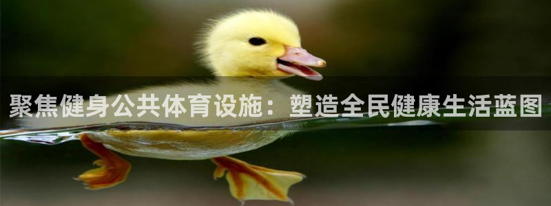 尊龙游戏官网