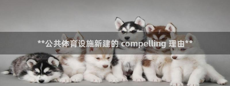 尊龙AG旗舰厅APP