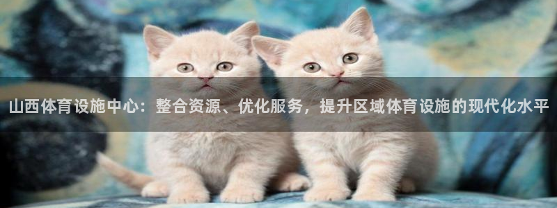 尊龙凯时一人生就是博官网