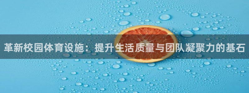 尊龙官网免费下载安卓