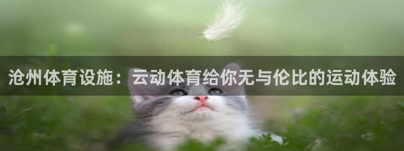 尊龙d88手机版下载