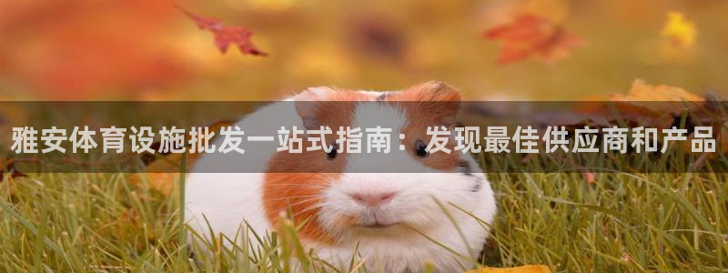 尊龙人生就是博ag