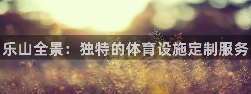 Z6尊龙官网入口